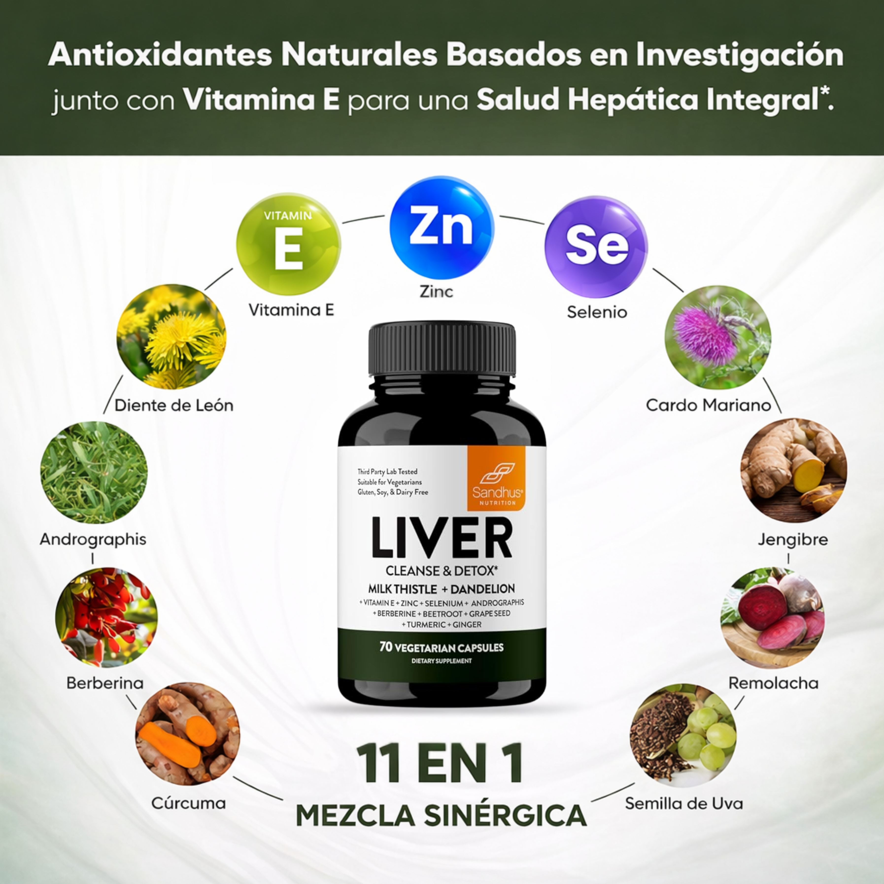 Liver Cleanse & Detox: Recupérate de la pesadez diaria
