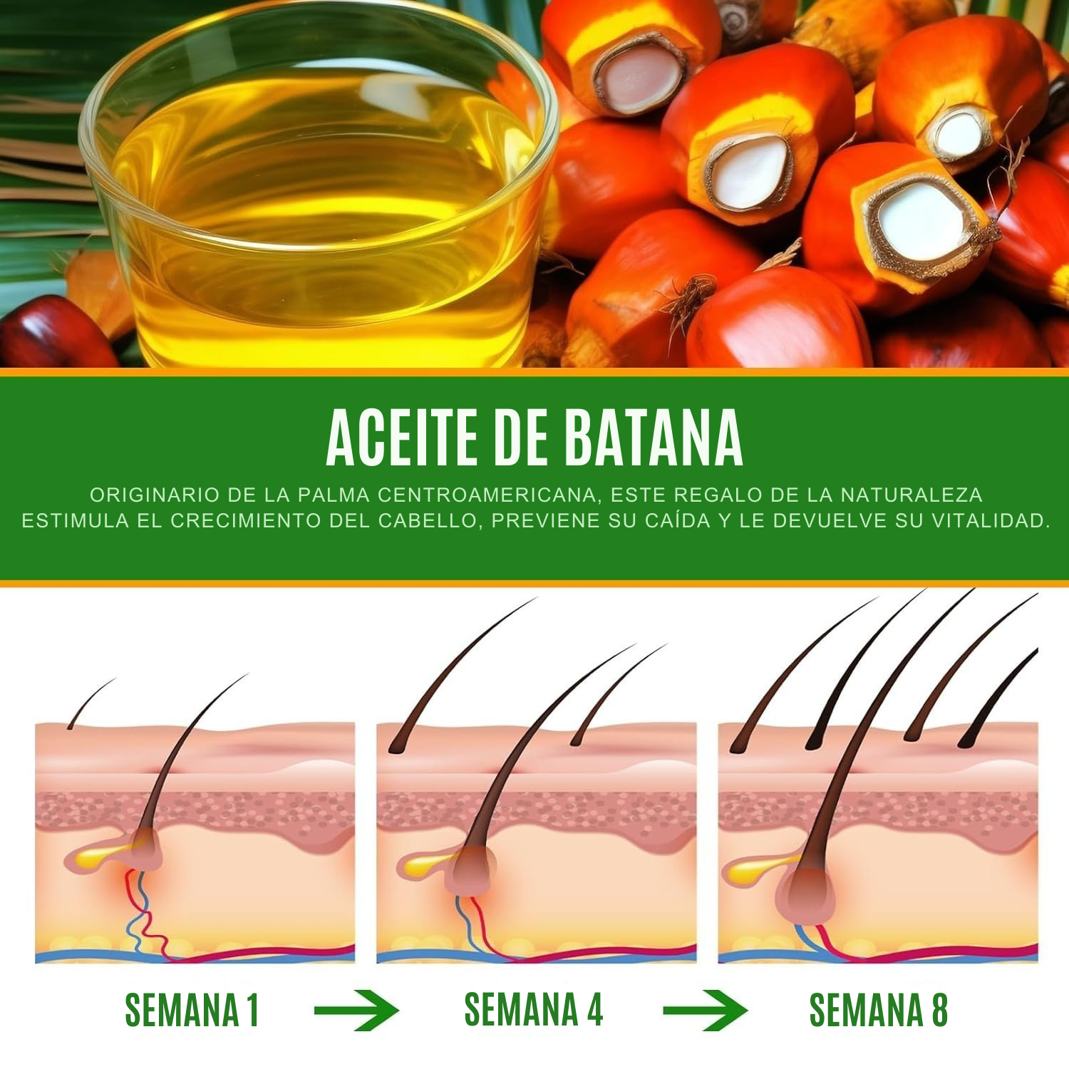 Aceite Batana