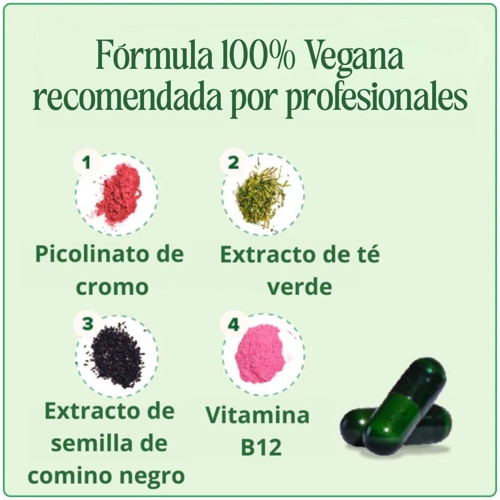 MOTO – Suplemento Natural para Acelerar el Metabolismo