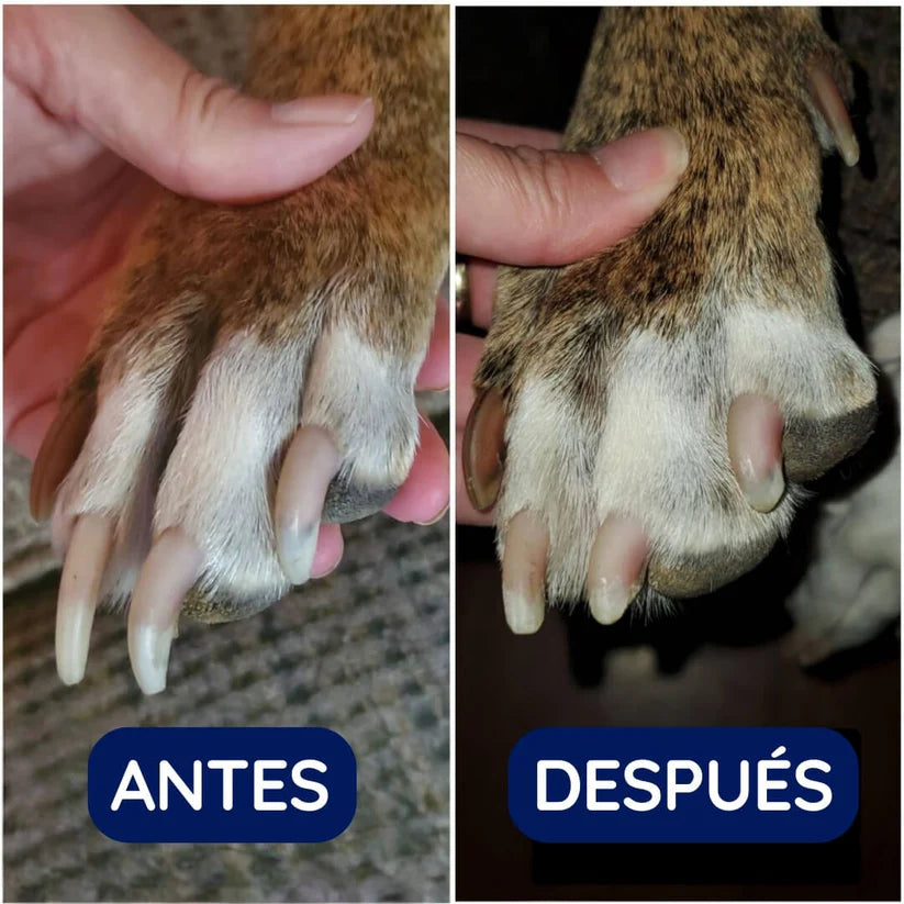 PetPedicure Lima de uñas de precisión: lápiz de aseo silencioso, seguro y sin estrés