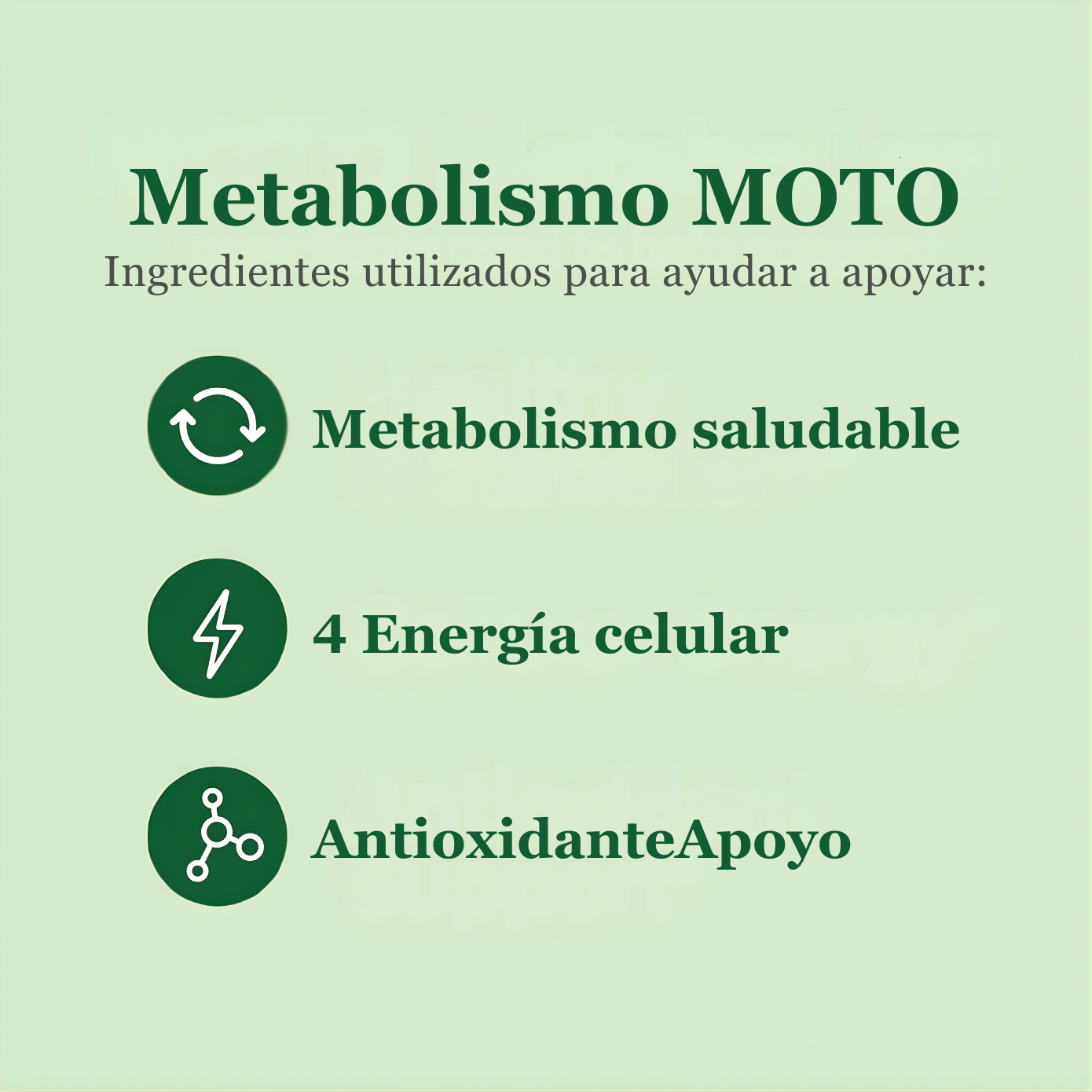 Moto | Acelera tu metabolismo en 7 días