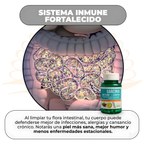 Garcinia - Café Verde + L-Carnitina Quema Grasa, Aumenta la Energía y Controla el Apetito de Forma Natural
