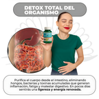 Garcinia - Café Verde + L-Carnitina Quema Grasa, Aumenta la Energía y Controla el Apetito de Forma Natural