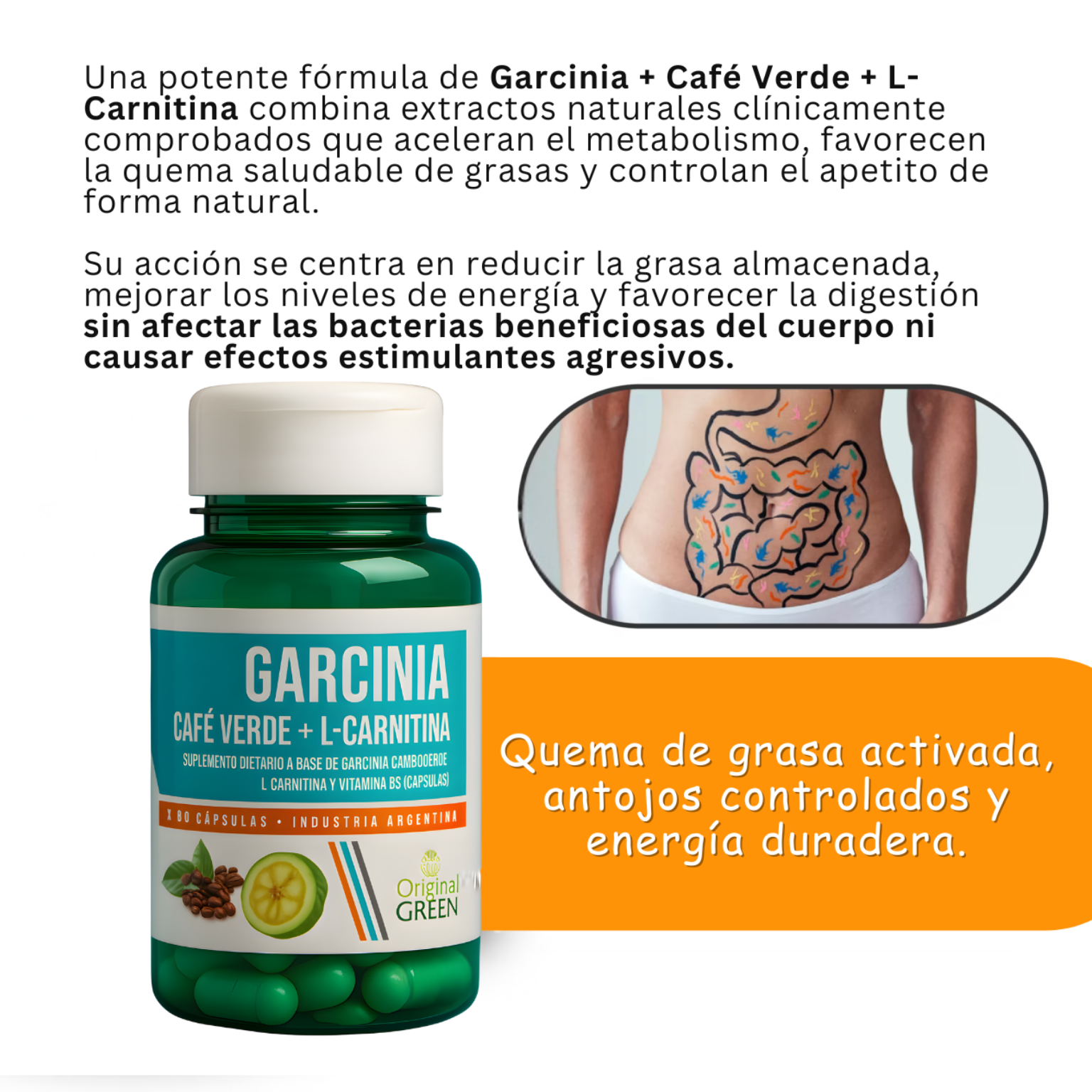 Garcinia - Café Verde + L-Carnitina Quema Grasa, Aumenta la Energía y Controla el Apetito de Forma Natural
