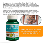 Garcinia - Café Verde + L-Carnitina Quema Grasa, Aumenta la Energía y Controla el Apetito de Forma Natural