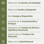 Ashwagandha + Magnesium 1000mg (60 cápsulas) – Defensa, Equilibrio y Energía Natural